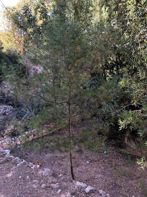 Appartamento Casa Con Piscina Calpe Esterno foto